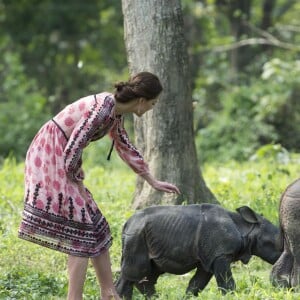 Le duc et la duchesse de Cambridge ont eu la chance de participer au nourrissage de deux éléphanteaux et un bébé rhinocéros le 13 avril 2016 dans un centre de sauvegarde et de réhabilitation des animaux sauvages dans le parc Kaziranga, dans l'Etat d'Assam, au 4e jour de leur visite officielle en Inde.