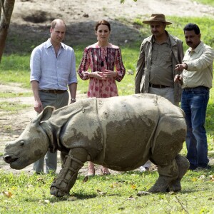 Le duc et la duchesse de Cambridge ont eu la chance de participer au nourrissage de deux éléphanteaux et un bébé rhinocéros le 13 avril 2016 dans un centre de sauvegarde et de réhabilitation des animaux sauvages dans le parc Kaziranga, dans l'Etat d'Assam, au 4e jour de leur visite officielle en Inde.