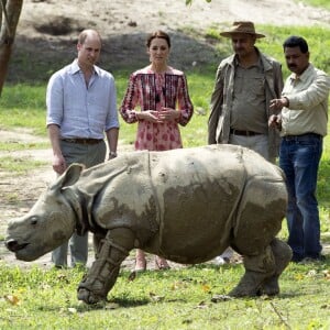 Le duc et la duchesse de Cambridge ont eu la chance de participer au nourrissage de deux éléphanteaux et un bébé rhinocéros le 13 avril 2016 dans un centre de sauvegarde et de réhabilitation des animaux sauvages dans le parc Kaziranga, dans l'Etat d'Assam, au 4e jour de leur visite officielle en Inde.