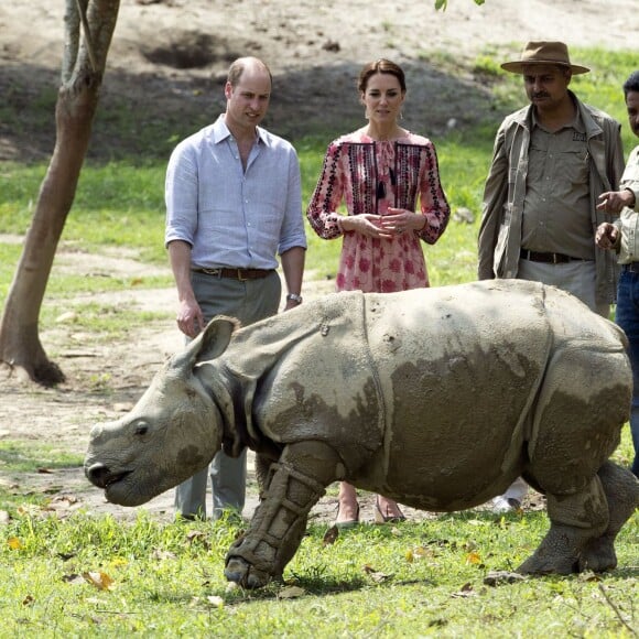 Le duc et la duchesse de Cambridge ont eu la chance de participer au nourrissage de deux éléphanteaux et un bébé rhinocéros le 13 avril 2016 dans un centre de sauvegarde et de réhabilitation des animaux sauvages dans le parc Kaziranga, dans l'Etat d'Assam, au 4e jour de leur visite officielle en Inde.