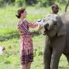 Le duc et la duchesse de Cambridge ont eu la chance de participer au nourrissage de deux éléphanteaux et un bébé rhinocéros le 13 avril 2016 dans un centre de sauvegarde et de réhabilitation des animaux sauvages dans le parc Kaziranga, dans l'Etat d'Assam, au 4e jour de leur visite officielle en Inde.