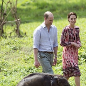 Le duc et la duchesse de Cambridge ont eu la chance de participer au nourrissage de deux éléphanteaux et un bébé rhinocéros le 13 avril 2016 dans un centre de sauvegarde et de réhabilitation des animaux sauvages dans le parc Kaziranga, dans l'Etat d'Assam, au 4e jour de leur visite officielle en Inde.