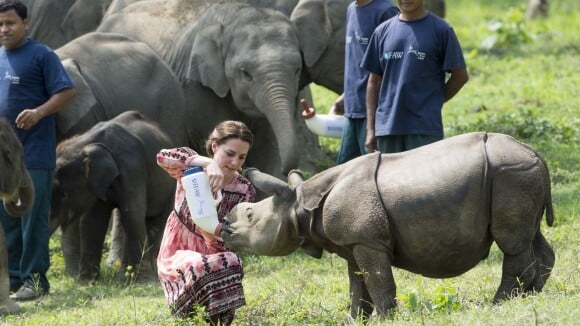 Kate Middleton et William au parc Kaziranga : Safari et gros, très gros bébés...