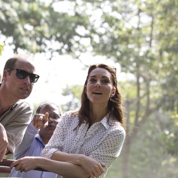 Kate Middleton et le prince William, duchesse et duc de Cambridge, ont fait un safari dans le parc Kazirangza dans l'Etat d'Assam, le 13 avril 2016, et ont rencontré des rangers pour évoquer la lutte contre le braconnage, au quatrième jour de leur tournée officielle en Inde. Les trente dernières minutes du safari se sont déroulées sans les médias et Catherine a pu s'adonner à sa passion pour la photographie.