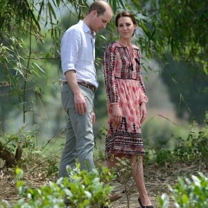 Kate Middleton et le prince William ont visité le 13 avril 2016 le village de Panbari dans le parc national Kaziranga, dans l'Etat d'Assam, au quatrième jour de leur tournée officielle en Inde.