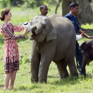 Le prince William, duc de Cambridge, et Kate Catherine Middleton, duchesse de Cambridge, visitent un centre de réhabilitation et de conversation de la faune et de la flore à Kaziranga, à l'occasion de leur voyage en Inde. Ils ont ainsi pu donner le biberon à des bébés rhinocéros. Le 13 avril 2016  The Duchess of Cambridge feeds a baby elephant during a visit to the Centre for Wildlife Rehabilitation and Conservation in Kaziranga, India, on day four of the Royal tour to India and Bhutan.13/04/2016 - Kaziranga