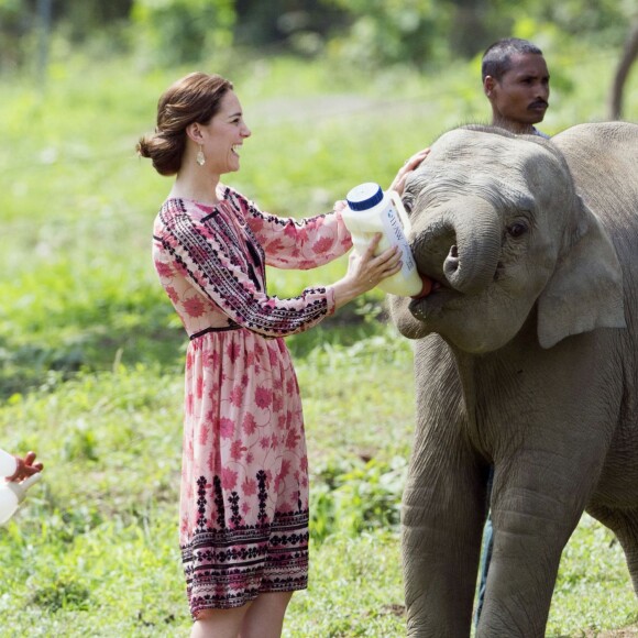 Le prince William, duc de Cambridge, et Kate Catherine Middleton, duchesse de Cambridge, visitent un centre de réhabilitation et de conversation de la faune et de la flore à Kaziranga, à l'occasion de leur voyage en Inde. Ils ont ainsi pu donner le biberon à des bébés rhinocéros. Le 13 avril 2016  The Duchess of Cambridge feeds a baby elephant during a visit to the Centre for Wildlife Rehabilitation and Conservation in Kaziranga, India, on day four of the Royal tour to India and Bhutan.13/04/2016 - Kaziranga