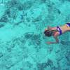 Laeticia Hallyday nage avec les requins, à Bora Bora. Instagram, avril 2016