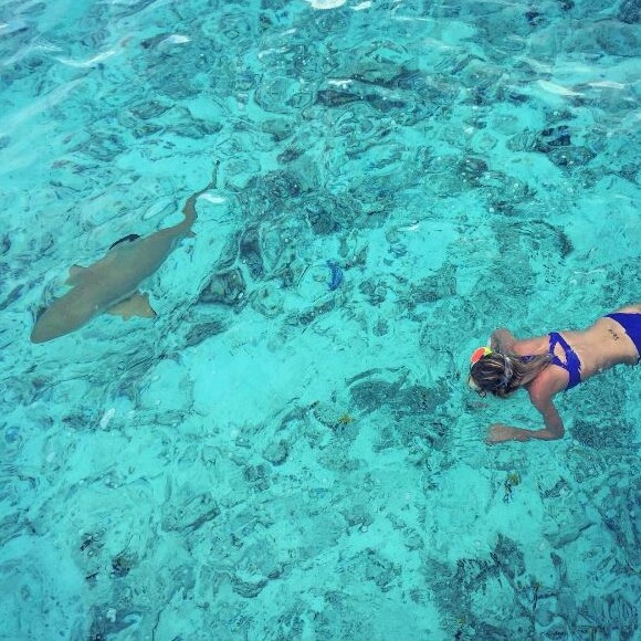 Laeticia Hallyday nage avec les requins, à Bora Bora. Instagram, avril 2016