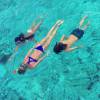 Laeticia Hallyday nage avec sa fille Jade au milieu des requins, à Bora Bora. Instagram, avril 2016