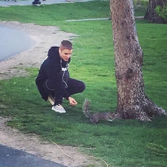 Plusieurs internautes ont photographiés Justin Bieber en train de s'amuser avec un écureuil dans un parc de Boston, le 9 mai 2016. Photo publiée sur Twitter.