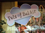 Une petite boutique des horreurs dans le quartier le plus chic de Los Angeles