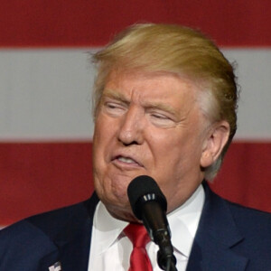 Le candidat républicain à l'élection présidentielle Donald Trump en campagne au centre South Florida Fairgrounds à West Palm Beach, Floride, Etats-Unis, le 13 octobre 2016.