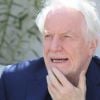 Exclusif - Rencontre avec André Dussollier lors du 68 ème Festival International du Film de Cannes le 22 mai 2015