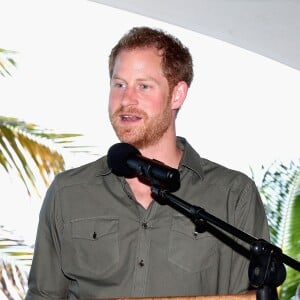 Le prince Harry se rend sur le site de l'association qui lutte pour la protection des tortues - Le prince Harry en visite sur l'île de Saint-Vincent-et-les-Grenadines à l'occasion de son voyage officiel de 15 jours dans les Caraïbes le 26 novembre 2016