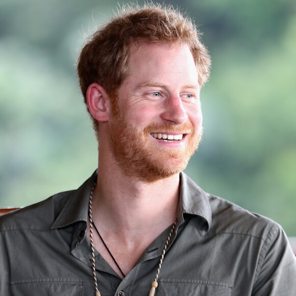 Le prince Harry en Guyane dans le cadre de son voyage aux Caraïbes visite le village de Surama le 3 décembre 2016