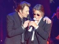 Les Vieilles Canailles, Jacques Dutronc : "Mon frère est mort cette année"