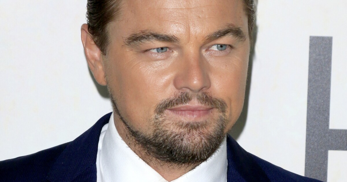Quoi De Neuf Docteur Leonardo Dicaprio