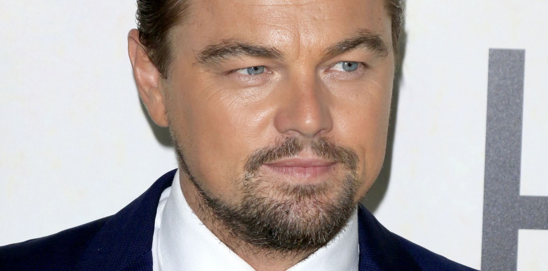 Leonardo DiCaprio et le cast de "Quoi de neuf docteur" réunis pour Alan