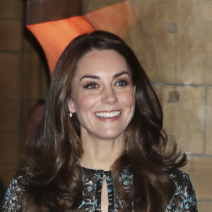 Kate Middleton, duchesse de Cambridge, portant un pansement au pouce gauche le 22 novembre 2016 lors d'une tea party avec de jeunes écoliers au Museum d'histoire naturelle de Londres.