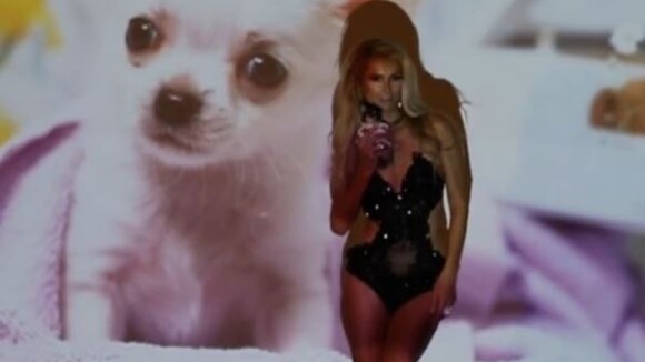 Paris Hilton : Inséparable de son chihuahua, qu'elle caresse en petite tenue