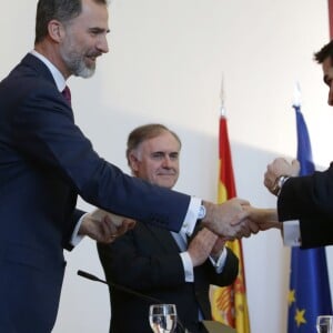 Le roi Felipe VI d'Espagne lors de la remise des bureaux de secrétaire d'ambassade à Madrid. Le 11 janvier 2017