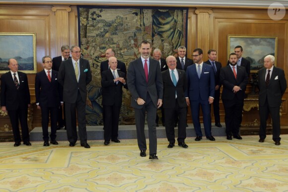 Le roi Felipe VI d'Espagne reçoit en audience les membres de la direction de conseil administration de la cavalerie Royale de Grenade à Madrid, le 9 janvier 2017.