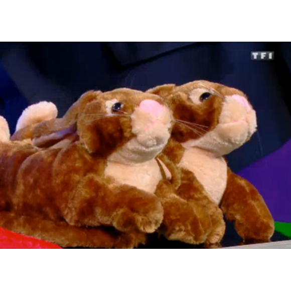 Une paire de pantoufles terrifiante dans "Stars sous hypnose" sur TF1 le 28 janvier 2017.