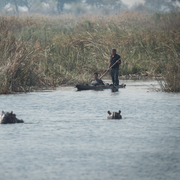 Laure Manaudou et Mike Horn dans À l'état sauvage (M6). Il sont partis dans la bande de Caprivi, en plein coeur de l'Afrique, dans la région du Zambeze entre la Namibie, le Botswana, la Zambie et l'Angola. 2017.