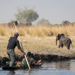 Laure Manaudou et Mike Horn dans À l'état sauvage (M6). Il sont partis dans la bande de Caprivi, en plein coeur de l'Afrique, dans la région du Zambeze entre la Namibie, le Botswana, la Zambie et l'Angola. 2017.