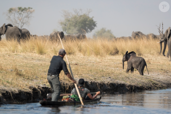 Laure Manaudou et Mike Horn dans À l'état sauvage (M6). Il sont partis dans la bande de Caprivi, en plein coeur de l'Afrique, dans la région du Zambeze entre la Namibie, le Botswana, la Zambie et l'Angola. 2017.