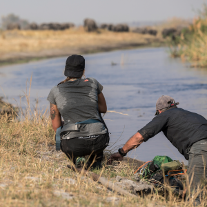 Laure Manaudou et Mike Horn dans À l'état sauvage (M6). Il sont partis dans la bande de Caprivi, en plein coeur de l'Afrique, dans la région du Zambeze entre la Namibie, le Botswana, la Zambie et l'Angola. 2017.