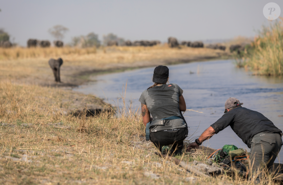 Laure Manaudou et Mike Horn dans À l'état sauvage (M6). Il sont partis dans la bande de Caprivi, en plein coeur de l'Afrique, dans la région du Zambeze entre la Namibie, le Botswana, la Zambie et l'Angola. 2017.