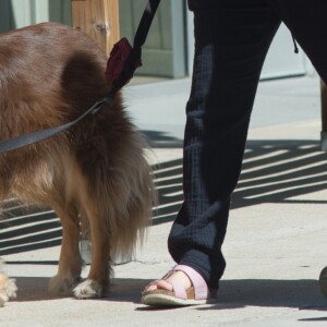 Amanda Seyfried, enceinte, promène son chien Finn en compagnie du réalisateur Dito Montiel à Los Angeles, le 8 mars 2017.