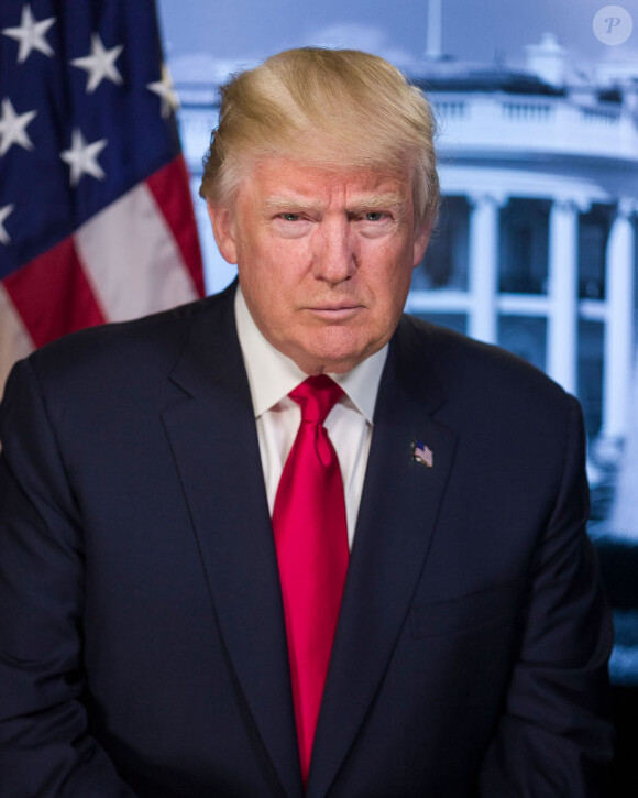 Portrait officiel de Donald Trump, 45e président des États-Unis. Janvier 2017.