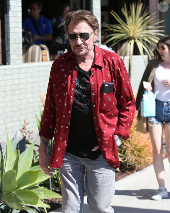 Johnny Hallyday avec sa femme Laeticia, leurs filles Jade et Joy, Marie Poniatowski avec son mari Pierre Rambaldi et leur fille Tess, à Santa Monica, le 1er avril 2017.