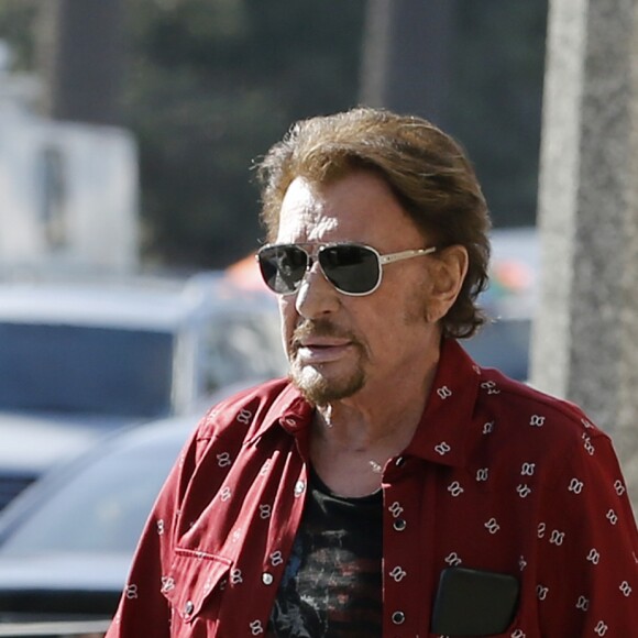 Johnny Hallyday avec sa femme Laeticia, leurs filles Jade et Joy, Marie Poniatowski avec son mari Pierre Rambaldi et leur fille Tess, à Santa Monica, le 1er avril 2017.