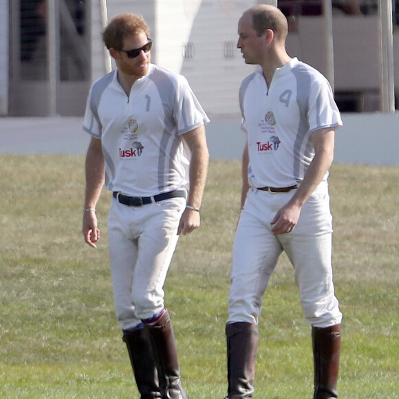 Le prince Harry et le prince William lors de l'Audi Polo Challenge le 7 mai 2017 au club de polo de Coworth Park, à Ascot dans le Berkshire.