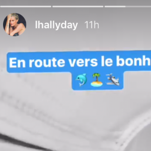 Johnny et Laeticia Hallyday dans l'avion privé les menant à Saint-Barthélemy le 28 juillet 2017