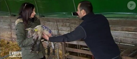 Emilie et Sébastien attendris par le petit agneau dans "L'amour est dans le pré" sur M6 le 21 août 2017.