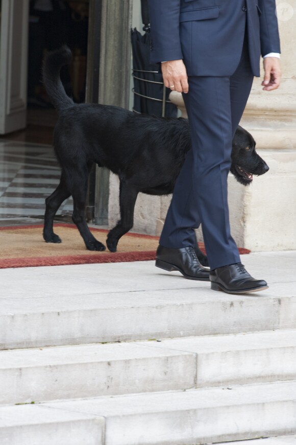 Le couple présidentiel a adopté le chien Nemo, ici sur le perron du palais de l'Elysée le 28 août 2017. © Pierre Perusseau / Bestimage