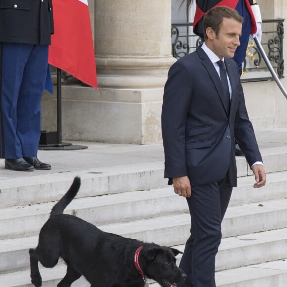 Le président Emmanuel Macron et son chien Nemo sur le perron du palais de l'Elysée à Paris le 28 août 2017 © Pierre Perusseau / Bestimage