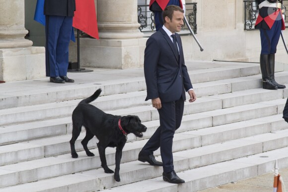 Le président Emmanuel Macron et son chien Nemo sur le perron du palais de l'Elysée à Paris le 28 août 2017 © Pierre Perusseau / Bestimage