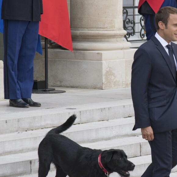 Le président Emmanuel Macron et son chien Nemo sur le perron du palais de l'Elysée à Paris le 28 août 2017 © Pierre Perusseau / Bestimage