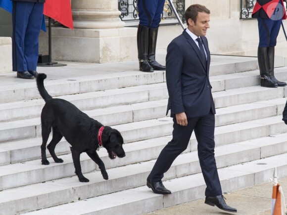 Le président Emmanuel Macron et son chien Nemo sur le perron du palais de l'Elysée à Paris le 28 août 2017 © Pierre Perusseau / Bestimage