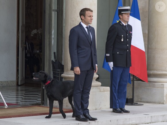 Le président Emmanuel Macron et son chien Nemo sur le perron du palais de l'Elysée à Paris le 28 août 2017 © Pierre Perusseau / Bestimage