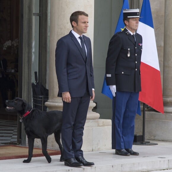 Le président Emmanuel Macron et son chien Nemo sur le perron du palais de l'Elysée à Paris le 28 août 2017 © Pierre Perusseau / Bestimage