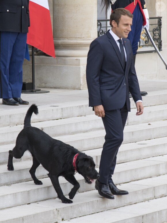 Le président Emmanuel Macron et son chien Nemo sur le perron du palais de l'Elysée à Paris le 28 août 2017 © Pierre Perusseau / Bestimage