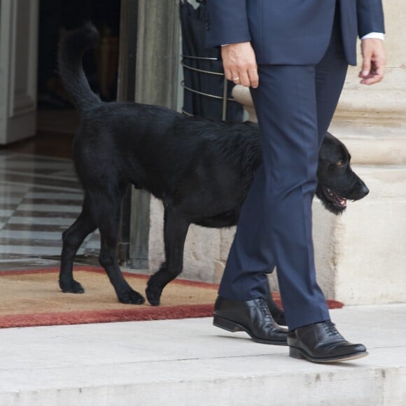 Le couple présidentiel a adopté le chien Nemo, ici sur le perron du palais de l'Elysée le 28 août 2017. © Pierre Perusseau / Bestimage