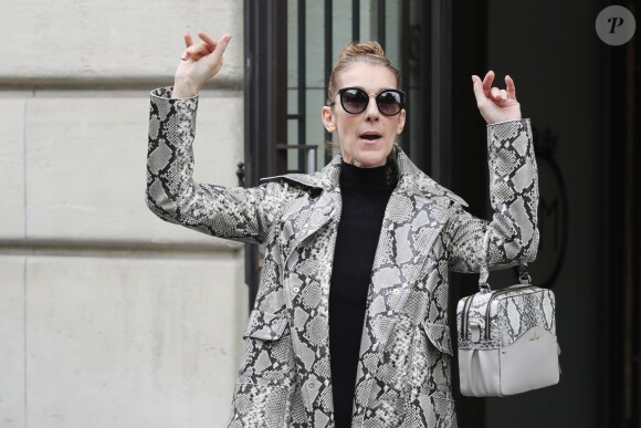 Céline Dion, quitte son hôtel, le "Royal Monceau", à Paris, pour se rendre à son concert à Birmingham. Le 27 juillet 2017